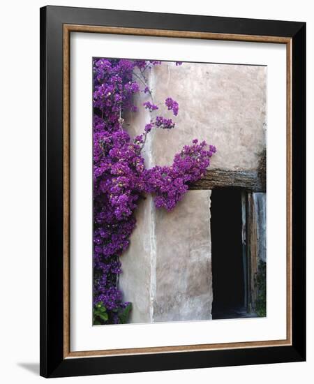 Carmel Mission, Carmel, California, USA-null-Framed Photographic Print