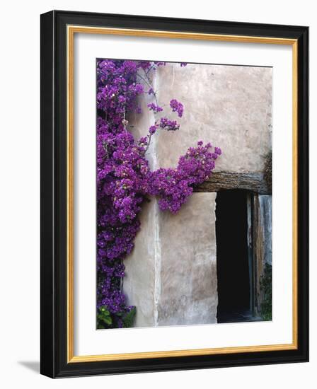 Carmel Mission, Carmel, California, USA-null-Framed Photographic Print