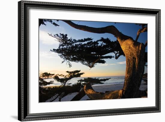 Carmel Sunset 2-Alan Hausenflock-Framed Photographic Print