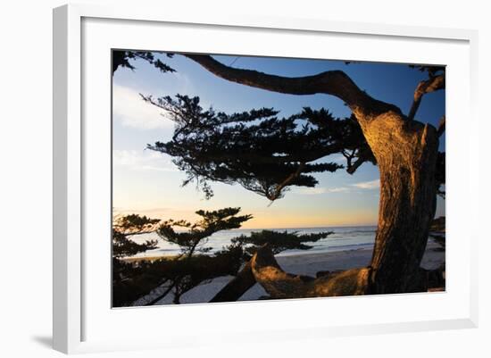 Carmel Sunset 2-Alan Hausenflock-Framed Photographic Print