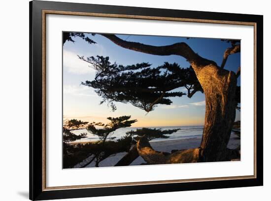 Carmel Sunset 2-Alan Hausenflock-Framed Photographic Print