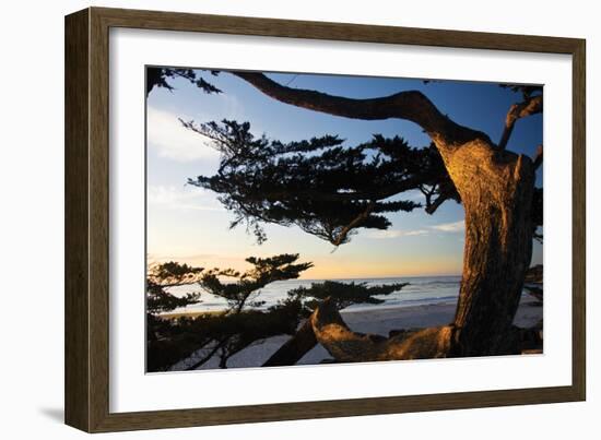 Carmel Sunset 2-Alan Hausenflock-Framed Photographic Print