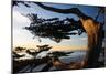 Carmel Sunset 2-Alan Hausenflock-Mounted Photographic Print