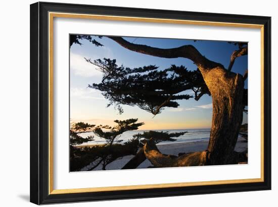 Carmel Sunset 2-Alan Hausenflock-Framed Photographic Print