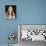 Carmen Electra-null-Photo displayed on a wall