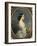 Carmen-Ida Aguado (1847-1880)-Franz Xaver Winterhalter-Framed Giclee Print