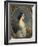 Carmen-Ida Aguado (1847-1880)-Franz Xaver Winterhalter-Framed Giclee Print