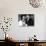 Carmen Jones, Dorothy Dandridge, Harry Belafonte, 1954-null-Photo displayed on a wall