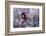 Carmen-Fabien BRAVIN-Framed Photographic Print