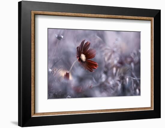 Carmen-Fabien BRAVIN-Framed Photographic Print