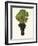 Carmenere Grape-J. Troncy-Framed Giclee Print