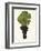 Carmenere Grape-J. Troncy-Framed Giclee Print