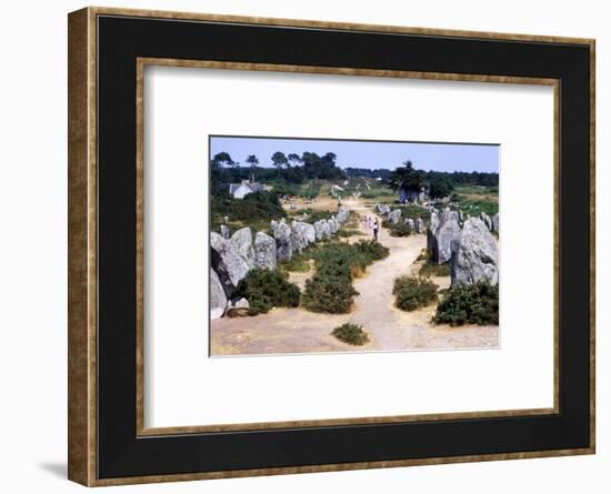 Carnac, Brittany Alignments at Kermario, Neolithic, 4500-2000 BC, (c20th century)-CM Dixon-Framed Photographic Print