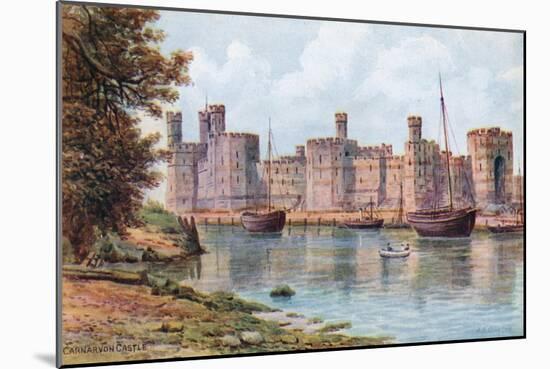 Carnarvon Castle-Alfred Robert Quinton-Mounted Giclee Print