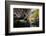 Carnarvon Gorge National Park, Queensland, Australia-Mark A Johnson-Framed Photographic Print