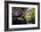 Carnarvon Gorge National Park, Queensland, Australia-Mark A Johnson-Framed Photographic Print