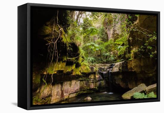 Carnarvon Gorge National Park, Queensland, Australia-Mark A Johnson-Framed Premier Image Canvas