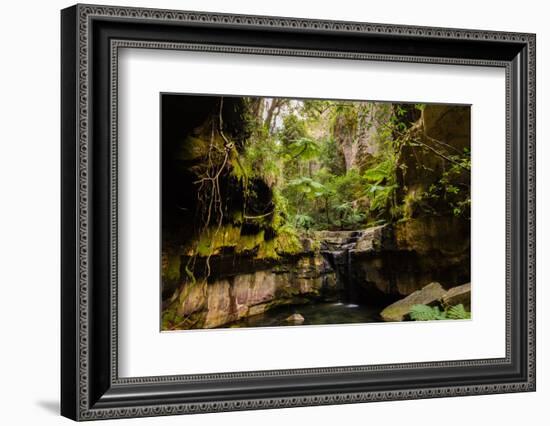 Carnarvon Gorge National Park, Queensland, Australia-Mark A Johnson-Framed Photographic Print