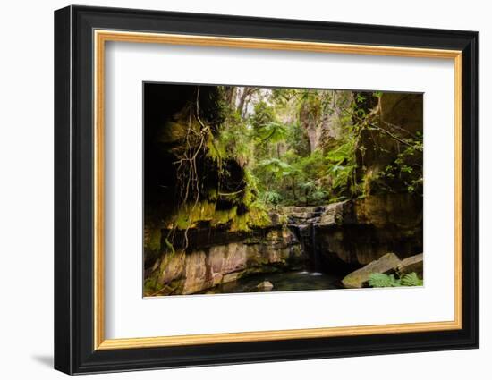 Carnarvon Gorge National Park, Queensland, Australia-Mark A Johnson-Framed Photographic Print