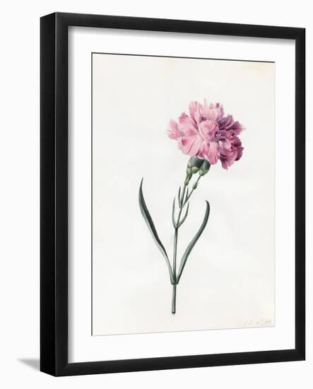 Carnation, 1826-Louise D'Orleans-Framed Giclee Print