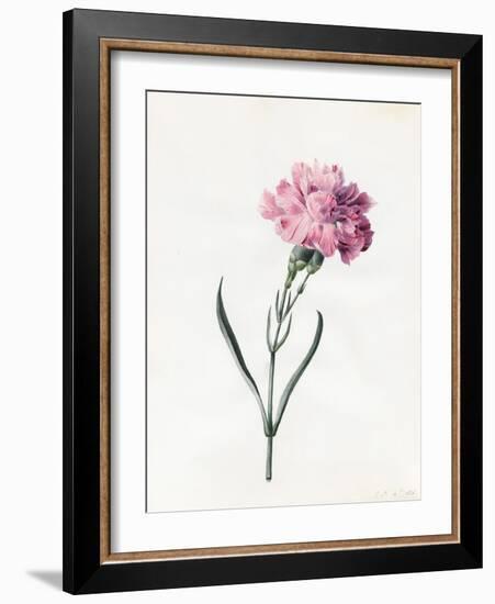 Carnation, 1826-Louise D'Orleans-Framed Giclee Print