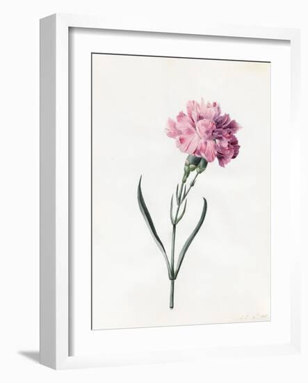 Carnation, 1826-Louise D'Orleans-Framed Giclee Print