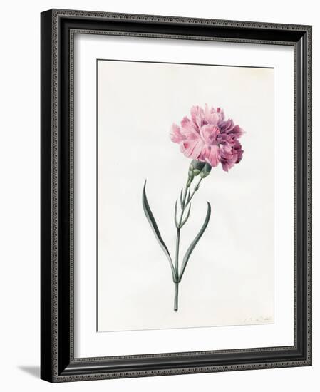 Carnation, 1826-Louise D'Orleans-Framed Giclee Print