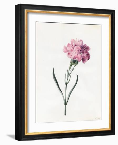 Carnation, 1826-Louise D'Orleans-Framed Giclee Print