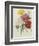 Carnation, circa 1833-Pierre-Joseph Redouté-Framed Giclee Print