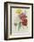 Carnation, circa 1833-Pierre-Joseph Redouté-Framed Giclee Print