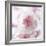 Carnation Creation III-Joseph Eta-Framed Art Print