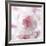 Carnation Creation III-Joseph Eta-Framed Art Print