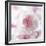 Carnation Creation III-Joseph Eta-Framed Art Print