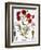 Carnation & Lavender, 1613-Besler Basilius-Framed Giclee Print