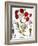 Carnation & Lavender, 1613-Besler Basilius-Framed Giclee Print