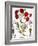 Carnation & Lavender, 1613-Besler Basilius-Framed Giclee Print