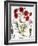 Carnation & Lavender, 1613-Besler Basilius-Framed Giclee Print