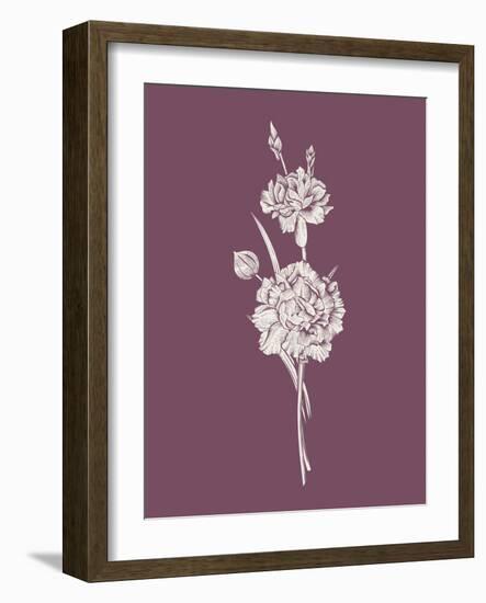 Carnation Purple Flower-Jasmine Woods-Framed Art Print