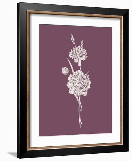 Carnation Purple Flower-Jasmine Woods-Framed Art Print