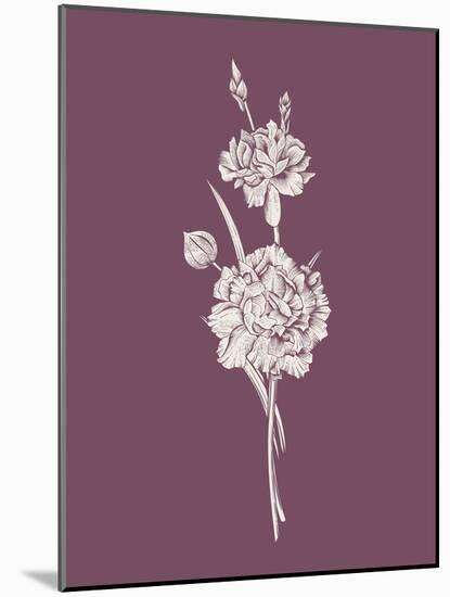 Carnation Purple Flower-Jasmine Woods-Mounted Art Print