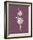 Carnation Purple Flower-Jasmine Woods-Framed Art Print