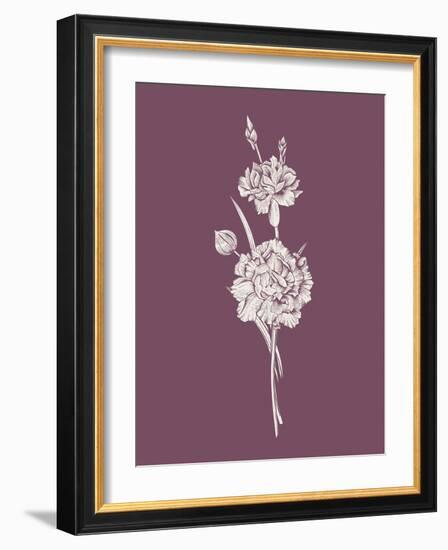 Carnation Purple Flower-Jasmine Woods-Framed Art Print