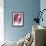 Carnation-Sabina Rosch-Framed Photographic Print displayed on a wall
