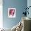 Carnation-Sabina Rosch-Framed Photographic Print displayed on a wall