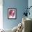 Carnation-Sabina Rosch-Framed Photographic Print displayed on a wall