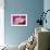 Carnation-Gordon Semmens-Framed Photographic Print displayed on a wall