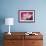 Carnation-Gordon Semmens-Framed Photographic Print displayed on a wall