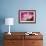 Carnation-Gordon Semmens-Framed Photographic Print displayed on a wall