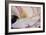 Carnation-Gordon Semmens-Framed Photographic Print