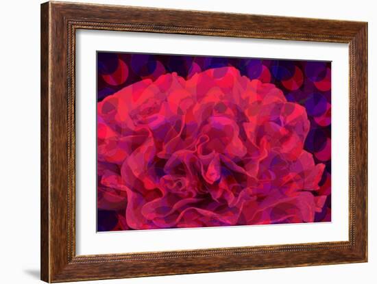 Carnation-Scott J. Davis-Framed Giclee Print